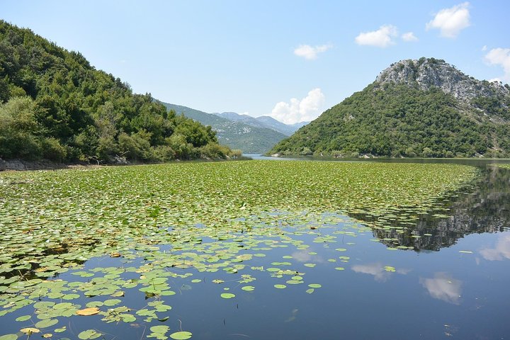 Gastronomy and Sightseeing in Montenegro - Lake Skadar & Cetinje Private Tour