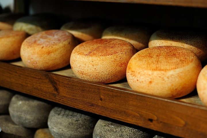 Pecorino di Pienza cheese tour