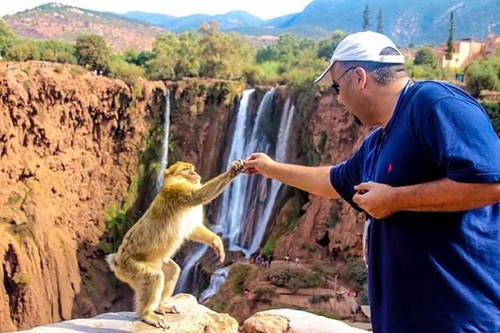 Ouzoud Waterfall Day Trip From Marrakech
