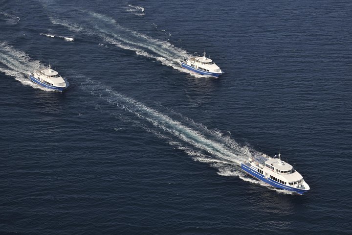 Nice to St Tropez Ferry Ticket and Cruise