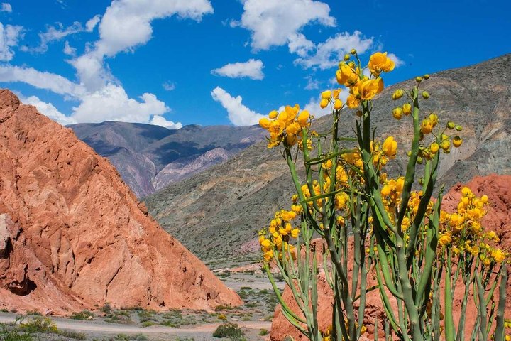 Salinas Grandes and Purmamarca: Full Day Excursion from Salta Capital