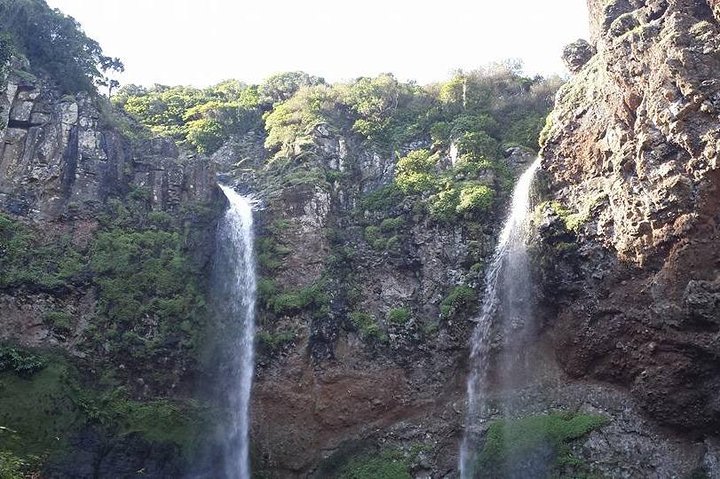 Excursions / Van Tours / Sightseeing