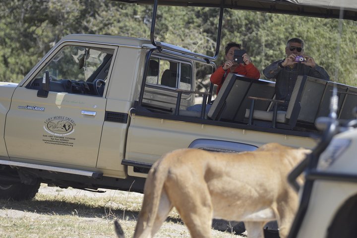 Chobe Safari Overnight Camping Trip