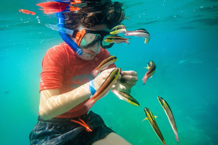 Shore Excursion Premium Family Snorkeling Experience