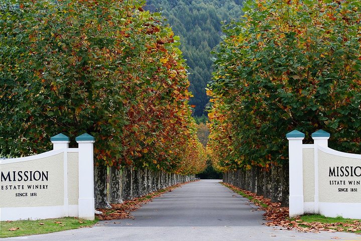 Cruise ship: Napier Art Deco-Premium Wineries +Beer, Cider tour