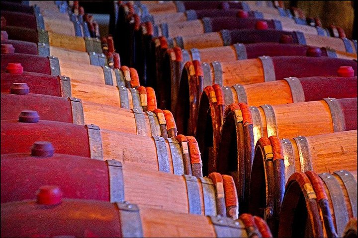Cruise ship: Napier Art Deco-Premium Wineries +Beer, Cider tour