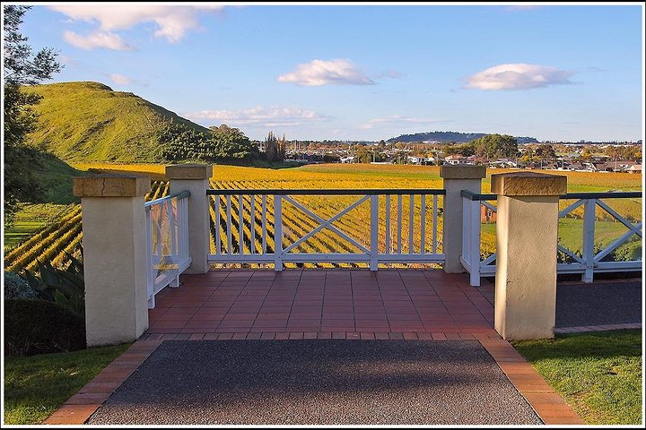 Shore excursion: Napier-Premium Wineries & Sights /Art deco tour