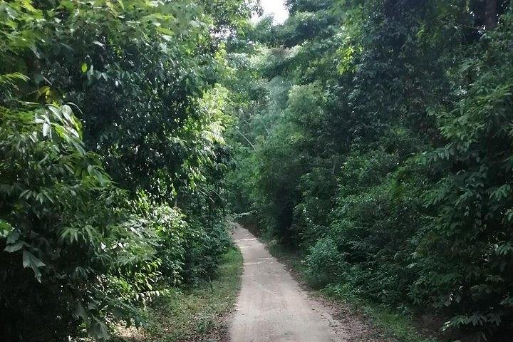 Private trip around Koh Phangan
