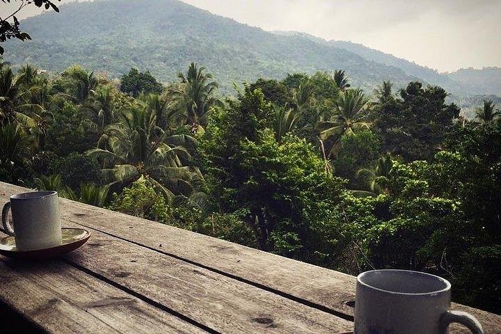 Private trip around Koh Phangan