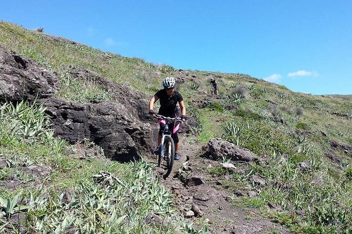 Bike Rental