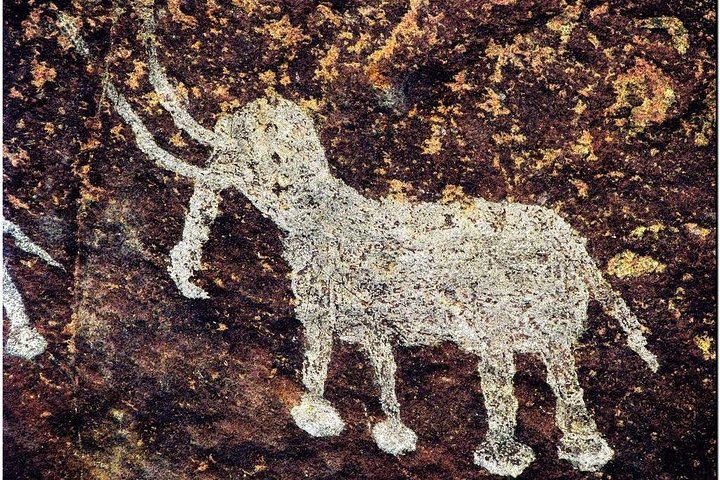 Full-Day Private Tour from Bhopal to Bhojpur and Bhimbetka