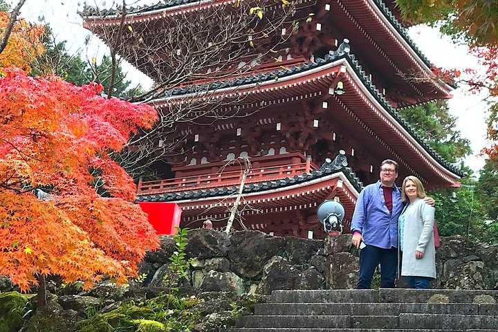 1-Day Kochi Highlights Tour with local guide