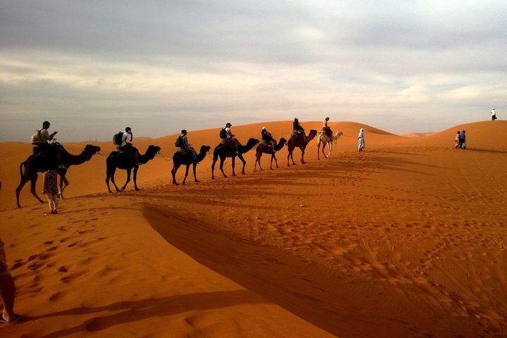 Dubai Evening4x4Desert Safari,BBQ Dinner,Belly Dance,Camel Ride