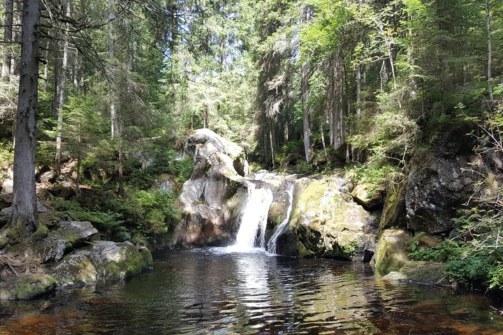 Black Forest Tour by car: start/end Offenburg or Gengenbach