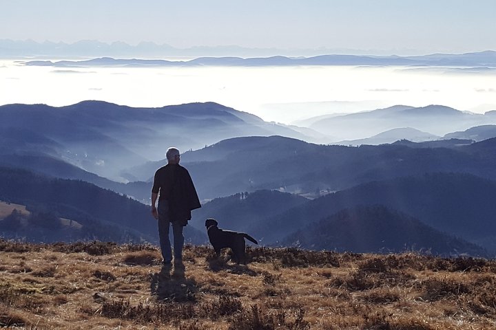 Black Forest Tour by car: start/end Offenburg or Gengenbach