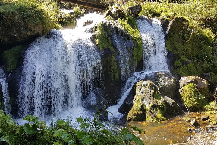 Black Forest Tour by car: start/end Offenburg or Gengenbach