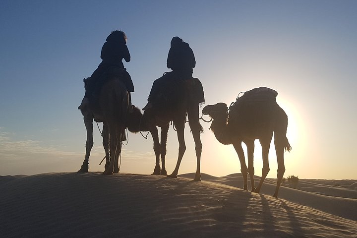 3-Day Tunisia Sahara Desert Camel Trek from Douz