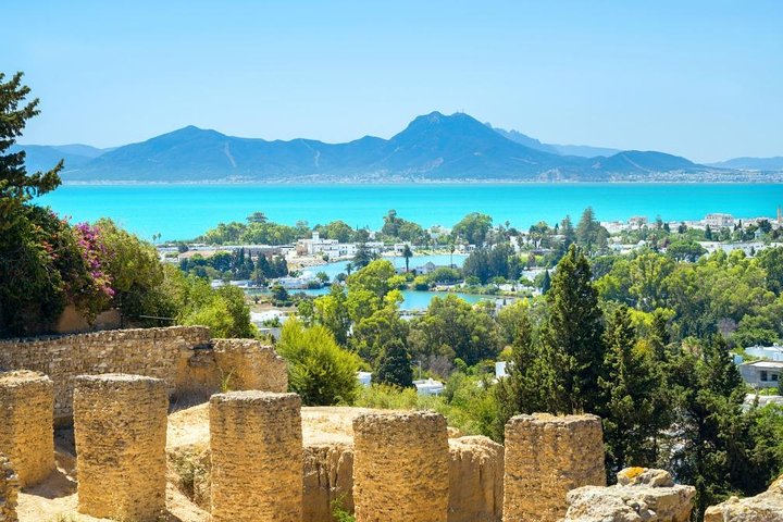 From Hammamet or Tunis: Carthage, Bardo, Sidi Bou said and Medina