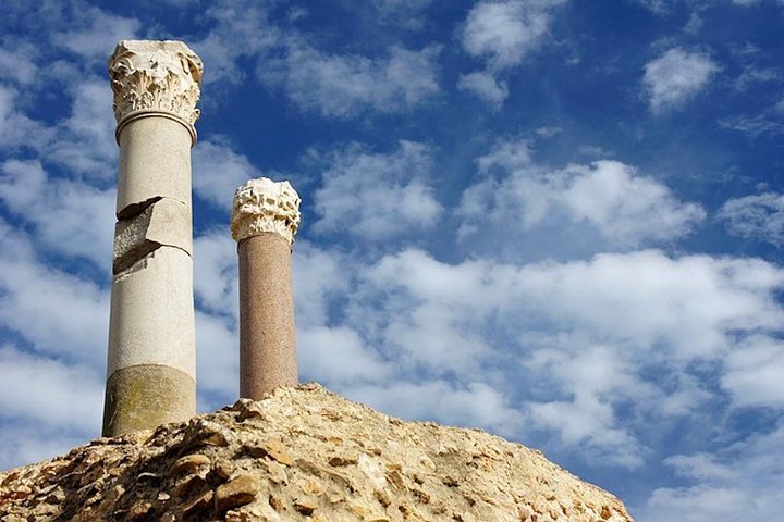 From Hammamet or Tunis: Carthage, Bardo, Sidi Bou said and Medina