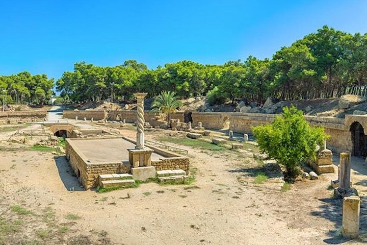 From Hammamet or Tunis: Carthage, Bardo, Sidi Bou said and Medina