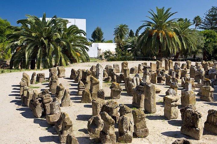 From Hammamet or Tunis: Carthage, Bardo, Sidi Bou said and Medina
