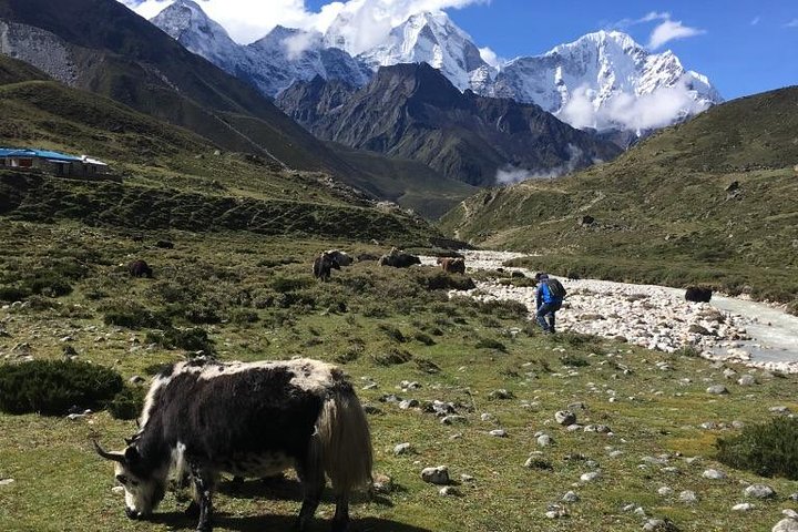Landing Everest Base Camp Kalapathar by Helicopter with Breakfast