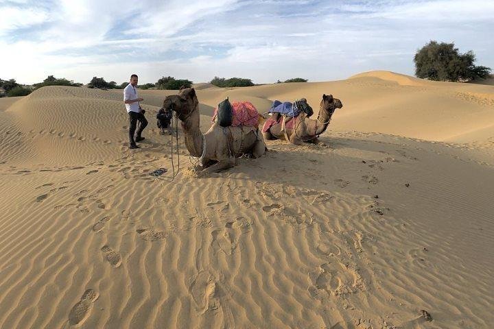 Desert Camel Safari & Jeep Safari Tour From Jodhpur