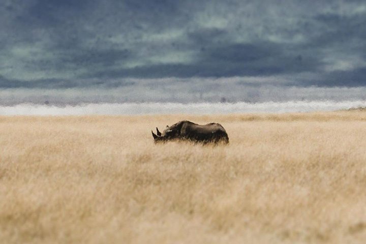 Ngorongoro Day tour with Maasai experiences