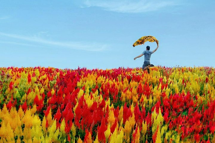 Cebu: Private Twin City Tour +Temple of Leah + Sirao Flower Farm