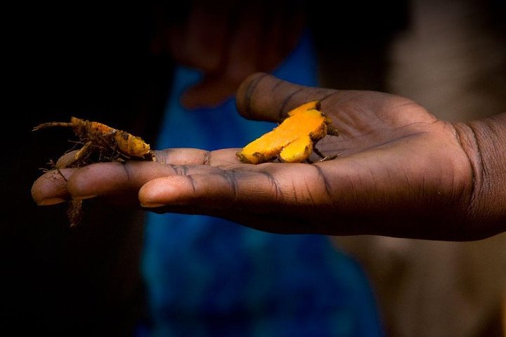 Zanzibar Spice Tour