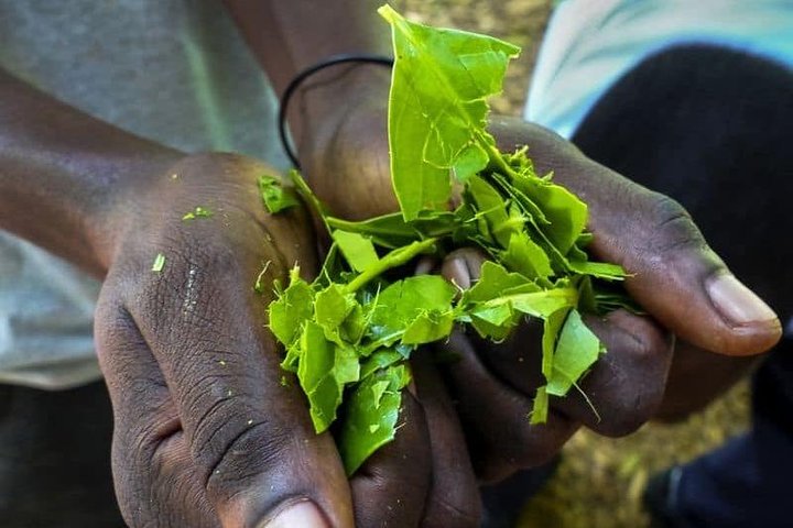 Zanzibar Spice Tour