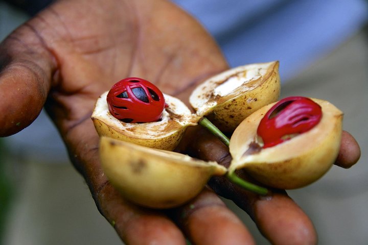 Zanzibar Spice Tour