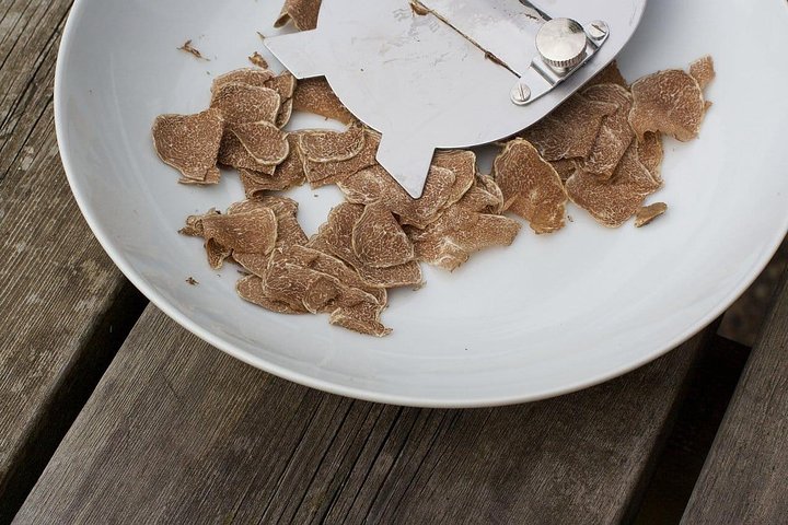 Luck and Patience: truffle hunting in Tuscany