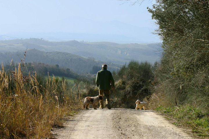 Luck and Patience: truffle hunting in Tuscany