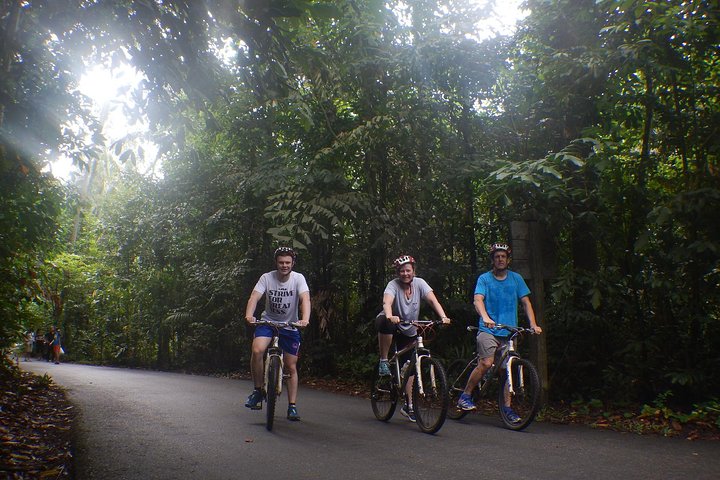4 Hours Cycling in the Nature at Pulau Ubin Singapore