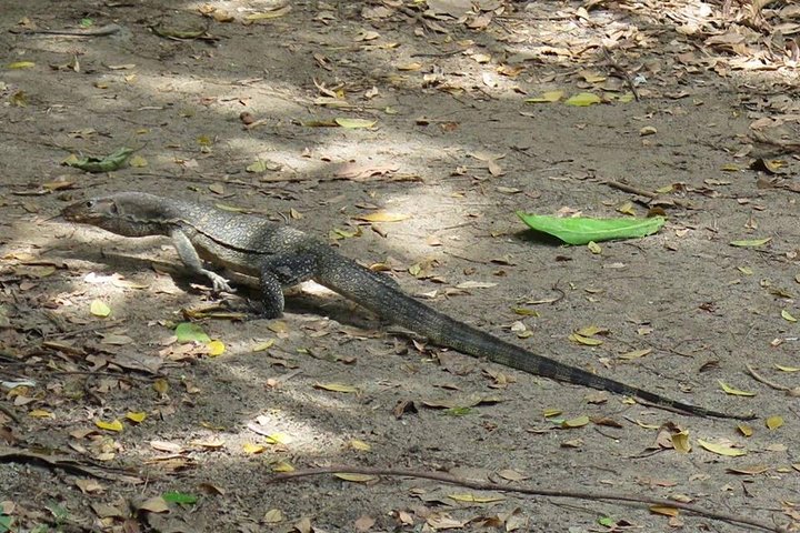 4 Hours Cycling in the Nature at Pulau Ubin Singapore