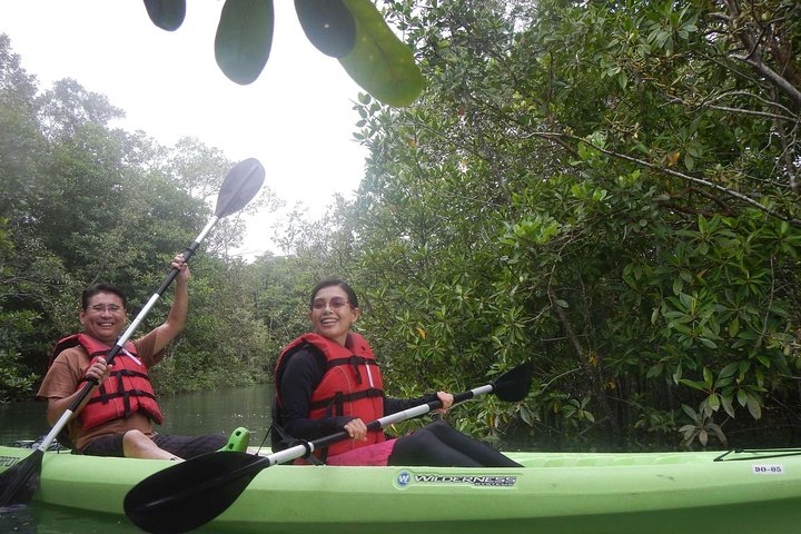 Mangrove Kayaking Adventure in Singapore