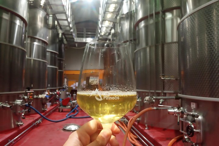Visit and wine tasting with sausage and BODEGA PIRINEOS cheese