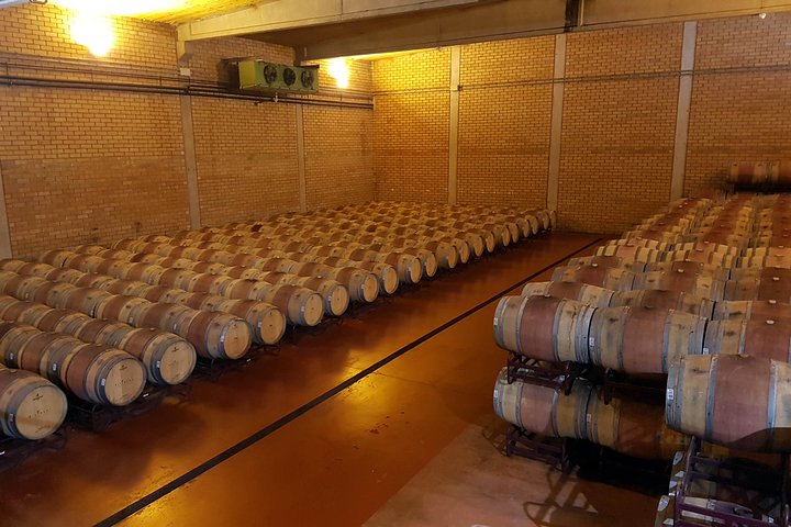 Visit and wine tasting with sausage and BODEGA PIRINEOS cheese