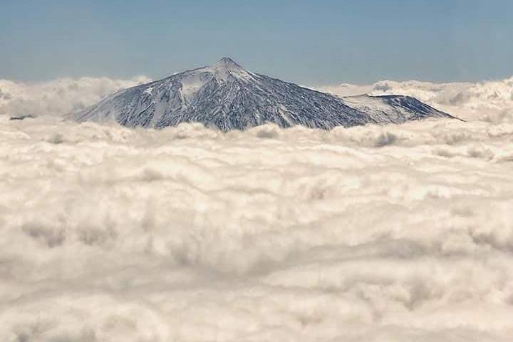 Teide Half Day National Park Bus Tour
