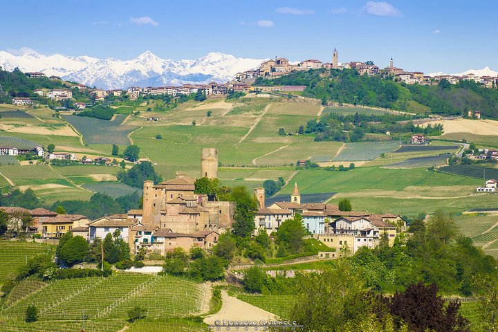 Barolo & Barbaresco Wine Tour with a Winemaker