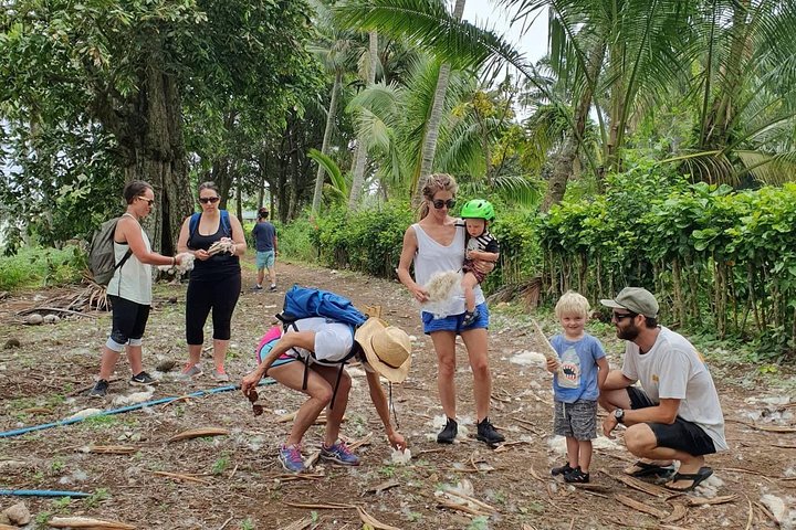 'Discover' Rarotonga Cycling Tour with Lunch