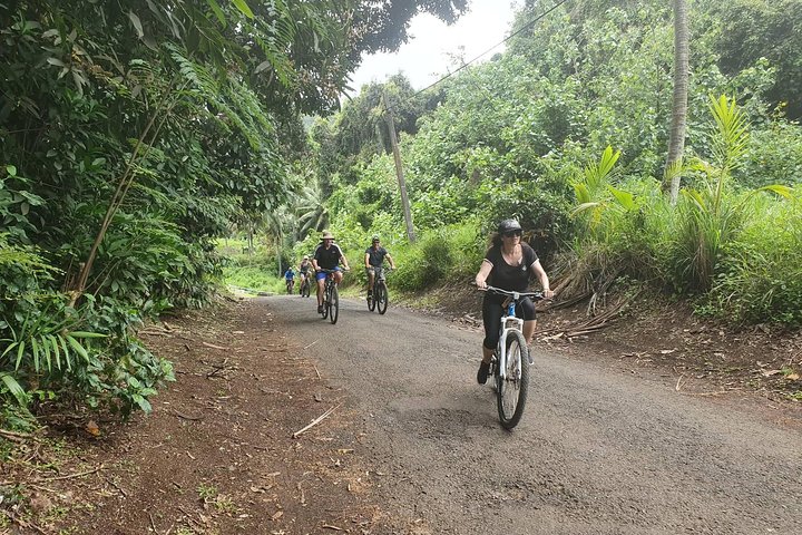 'Discover' Rarotonga Cycling Tour with Lunch