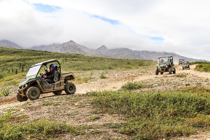 2.5-Hour Denali Wilderness ATV Adventure Tour