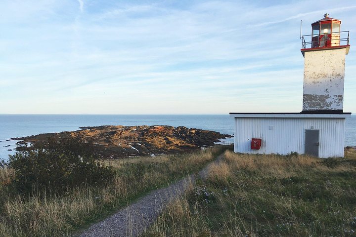 Bay of Fundy Tour by Bus