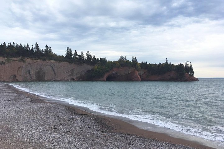 Bay of Fundy Tour by Bus