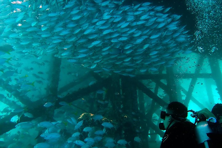 TRY SCUBA (non diver)