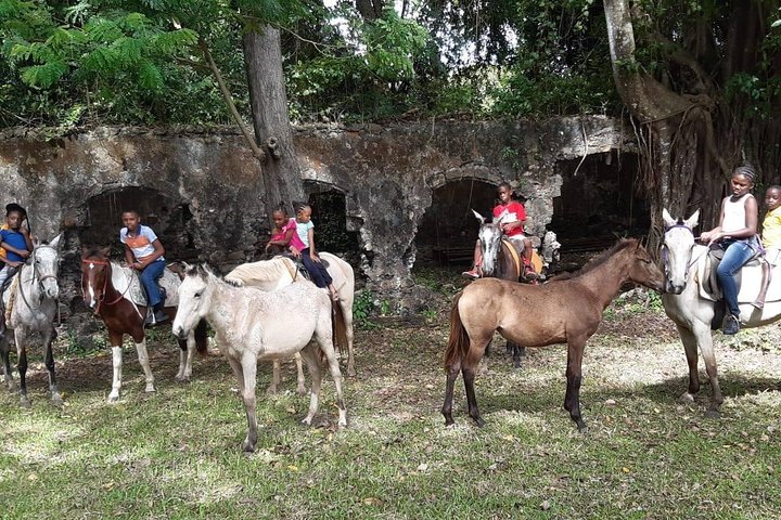 East Coast Horseback Riding & Waterfall Excursion