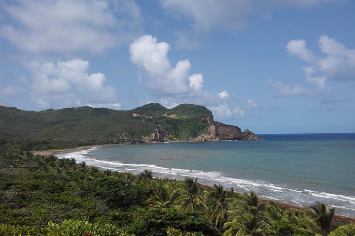 East Coast Horseback Riding & Waterfall Excursion
