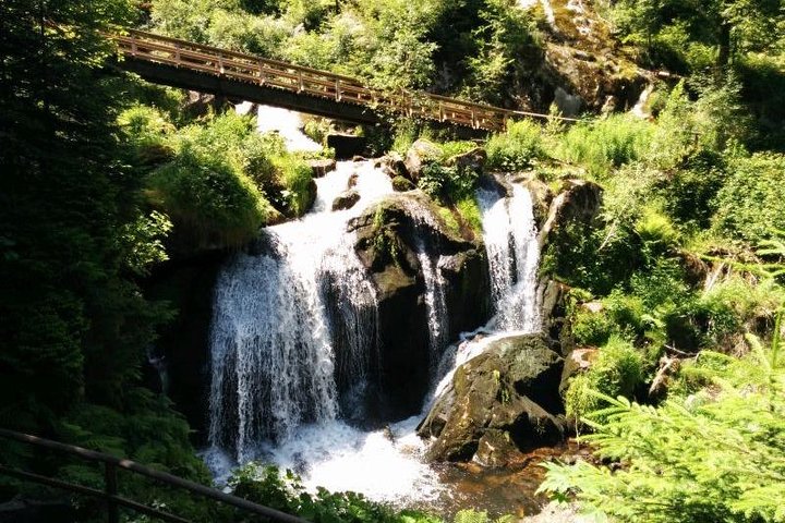 Black Forest Tour by car: start/end Freiburg